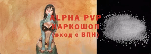 ECSTASY Инта