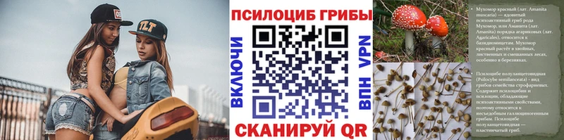 Галлюциногенные грибы прущие грибы  Купить закладки  Арсеньев 